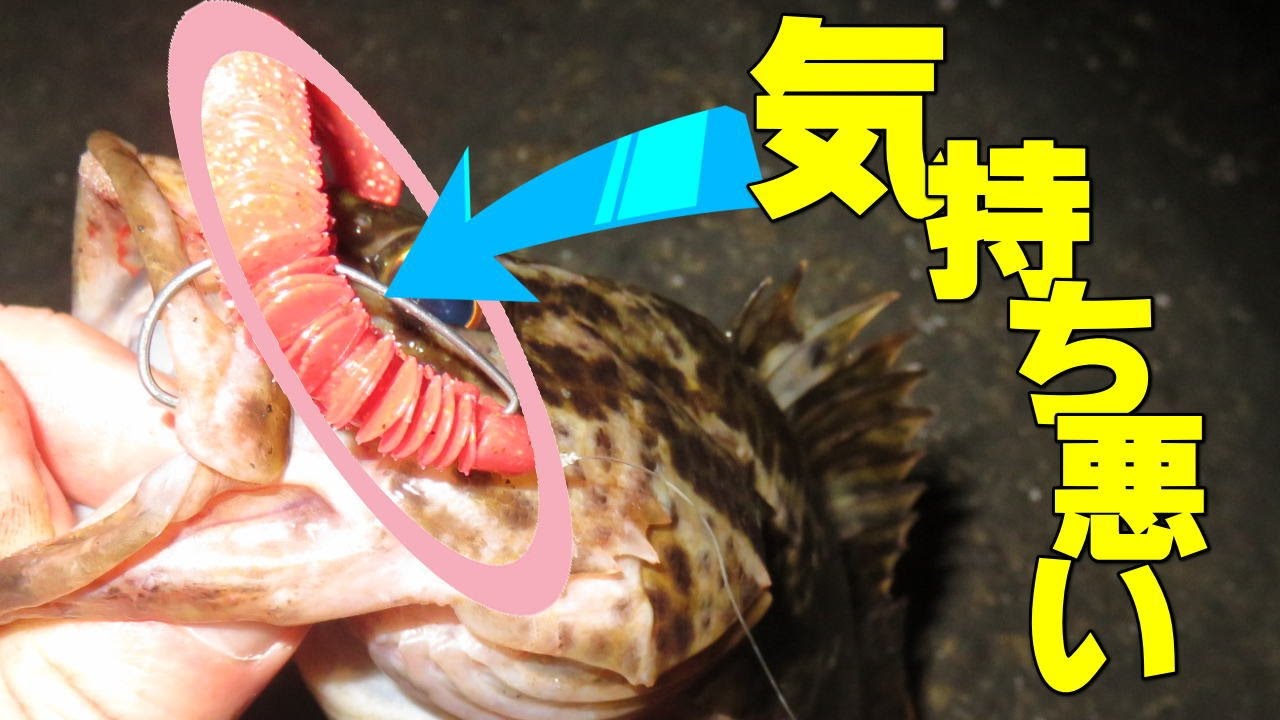 気持ち悪いワームを使ってみた結果 タケノコメバルがガッツリ食ってきた 使用ワーム Kjカーリー Youtube