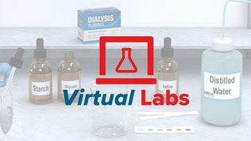 McGraw Hill Virtual Labs® Overview