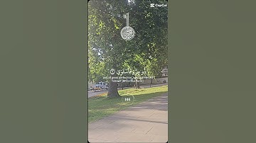 تلاوة جميلة للشيخ ياسر الدوسري ماتيسر من سورة النجم