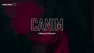 CANIM  Arabic Oriental Dancehall Type Beat  Turkish (SLower & Reverb) 2024 Resimi