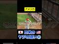 プロ野球 日米のヤジの違い②