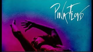 PINK FLOYD | THE NARROW WAY PART 3
