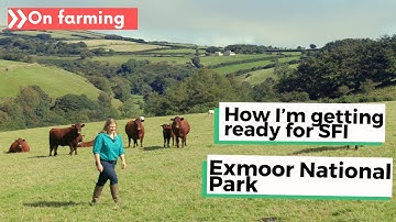 How I’m getting ready for SFI – Sarah, beef and sheep farmer, Exmoor National Park