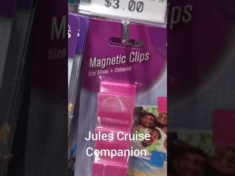 Random items to take cruising @julescruisecompanion Video Thumbnail