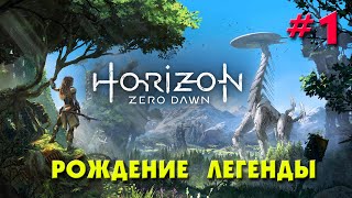 Horizon Zero Dawn #1  РОЖДЕНИЕ ЛЕГЕНДЫ