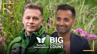 Big Butterfly Count 2023 with Chris Packham & Dr Amir Khan