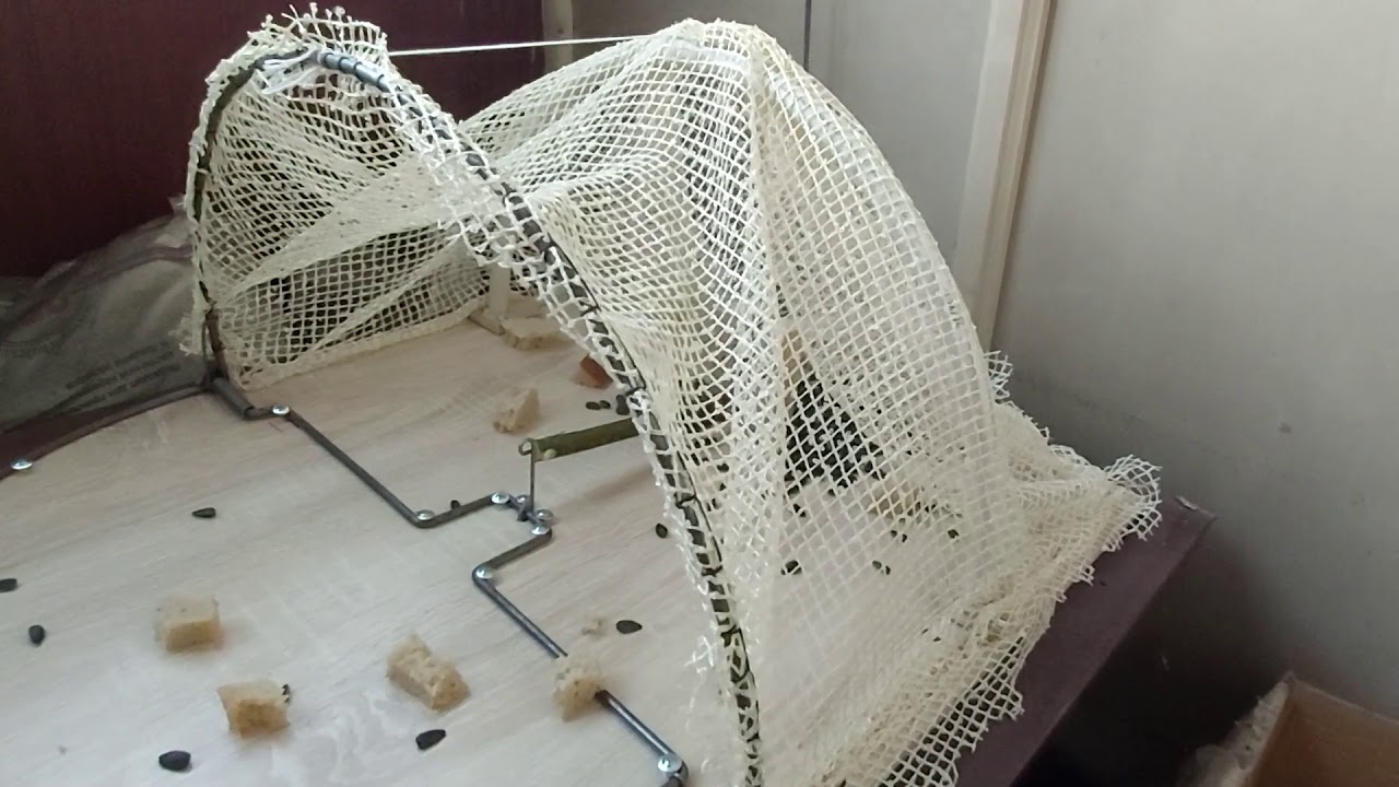 Ловушка для птиц