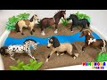 5 Animales de la Granja preferidos por los niños 🐴🐮 con Slime y Arena Kinetica ✨ Mimonona Stories