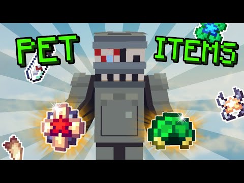 Let's Talk About Pet Items | Hypixel Skyblock - YouTube