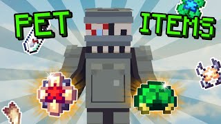 Let's Talk About Pet Items | Hypixel Skyblock