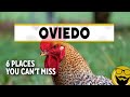 6 Places You CANNOT MISS in Oviedo, Florida | Black Hammock, Lukas Nursery, Mission BBQ