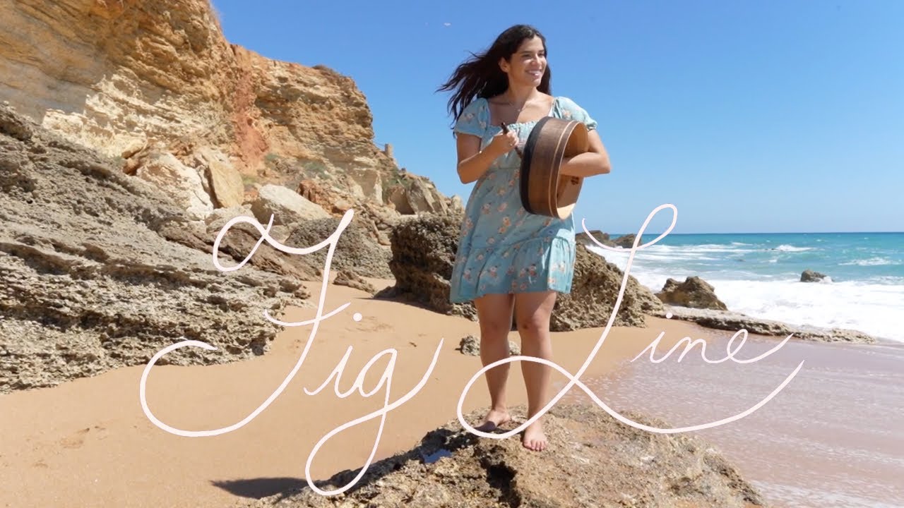 Introducing the FigLine