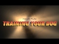 Loose Leash Walking - Clicker Training Dog Training DVD Available! Loose Leash Walking - Clicker Training Dog Training DVD Available!