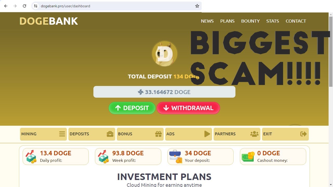 Dogebank.pro: The Deceptive Dogecoin Scam - YouTube