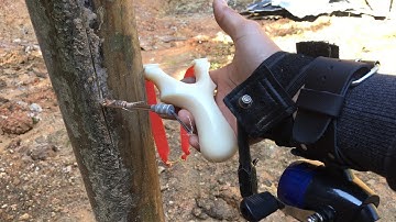 Hướng dẫn cách ngắm bắn ná cao su bắn cá