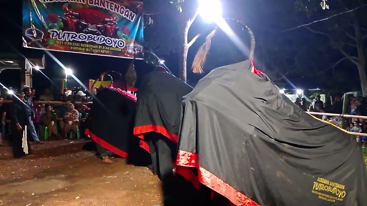 Seni Bantengan Putro Budoyo sumbersari Kutai Barat 