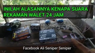 Inilah alasannya suara walet harus 24 jam