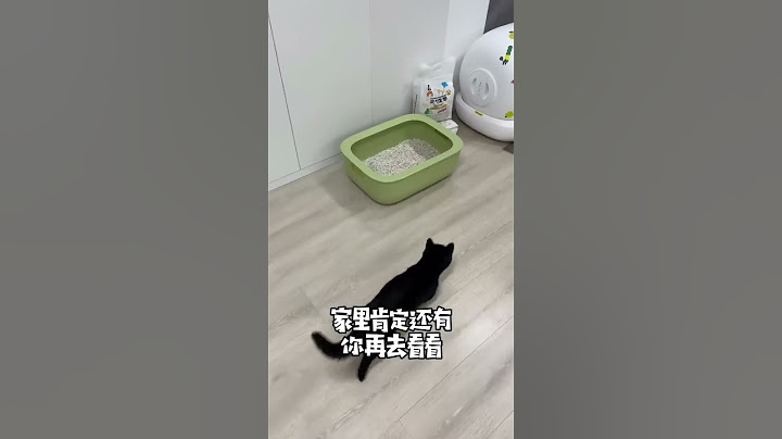 【一只黑糖啵啵🐻】自从养了猫过后，家里就多一笔收入！