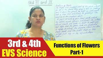 3rd & 4th EVS Science | Functions of Flowers Part-1 | CBSE Science Syllabus
