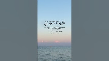 من سورة يوسف القارئ عمر الدريويز
