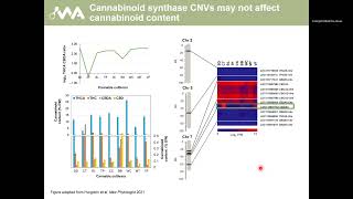 Bhavna Hurgobin, La Trobe University. Recent advances in Cannabis sativa genomics research.