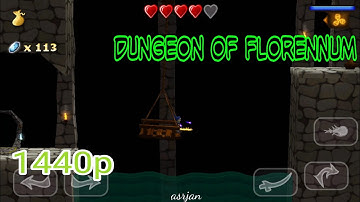 Swordigo dungeon of florennum