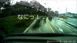 もみじマーク逆走