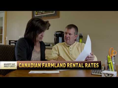 گزارش روز بازار نرخ اجاره زمین های کشاورزی با شان هانی ۶ مه ۲۰۲۴