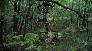 Mathews V3 27 Bow Setup