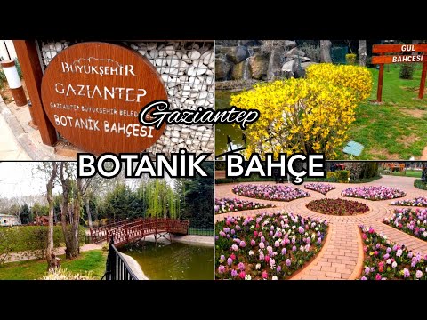 Video: Botanik Bahçesine Başlamak: Botanik Bahçelerinin Ne Yaptığını Öğrenin