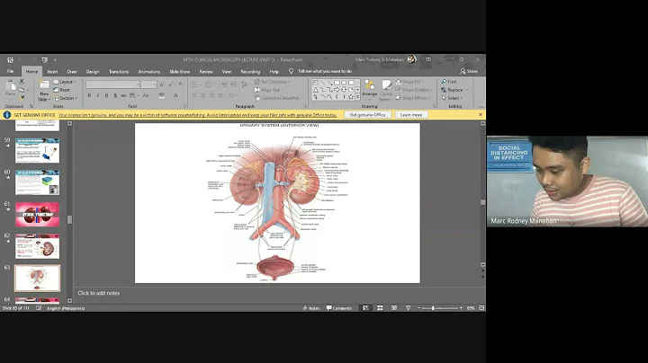 MT 51: Didactics | Clinical Microscopy Review (Renal Function)