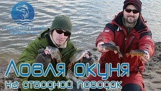 Отводной поводок на окуня и щуку : Рыболовный дневник Отводной поводок на окуня и щуку : Рыболовный дневник