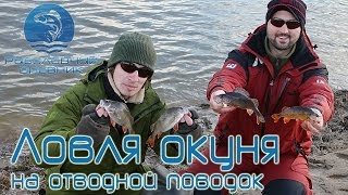 Отводной поводок на окуня и щуку : Рыболовный дневник