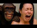 Life 1.5 Million Years Ago | Beauty and the Beast How to Survive the Rhino’s Charge?