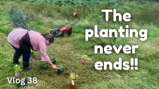 The planting continues | Yum yum plums | Vlog 38 | Life on 8 acres