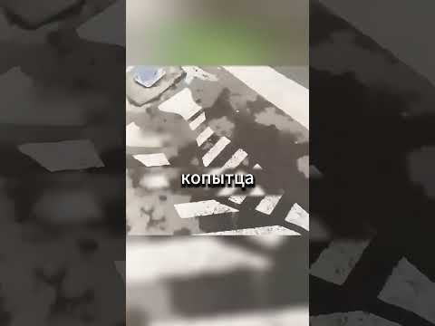 Дорожники с приколом😁