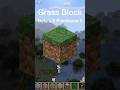 Minecraft Grass Block Texture Evolution #shorts