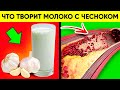 ВОТ ЧТО ТВОРИТ МОЛОКО С ЧЕСНОКОМ! (Реальная Польза и Вред Чеснока с Молоком)