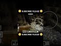 🥇 Cave me gaya… Diamond nahi mila 😭 Sirf GOLD hi GOLd#minecraft #gold#gaming#viral#trending#shorts
