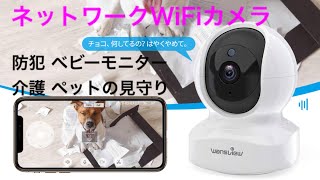 【見守りカメラ】Amazon 2999円 高性能 Wansview  入門にもおすすめ ネットワークカメラ