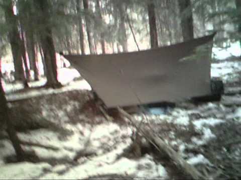 Marion Hammock Photo 6