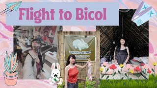 Airplane to Bicol International Airport  Travel Vlog