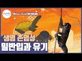 밀반입 되어 유기되는 야생동물의 운명은 ㅣ주ZOO 24시간이 모자라 밀반입 되어 유기되는 야생동물의 운명은 ㅣ주ZOO 24시간이 모자라