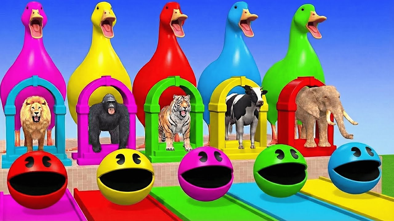 Long Slide Game with Cow Elephant Gorilla Hippopotamus Tiger 3d Animal Game Funny 3d Animals