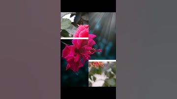 After/Before tutorial short video #nature #reels #editing #environment #tranding #reelsinstagram