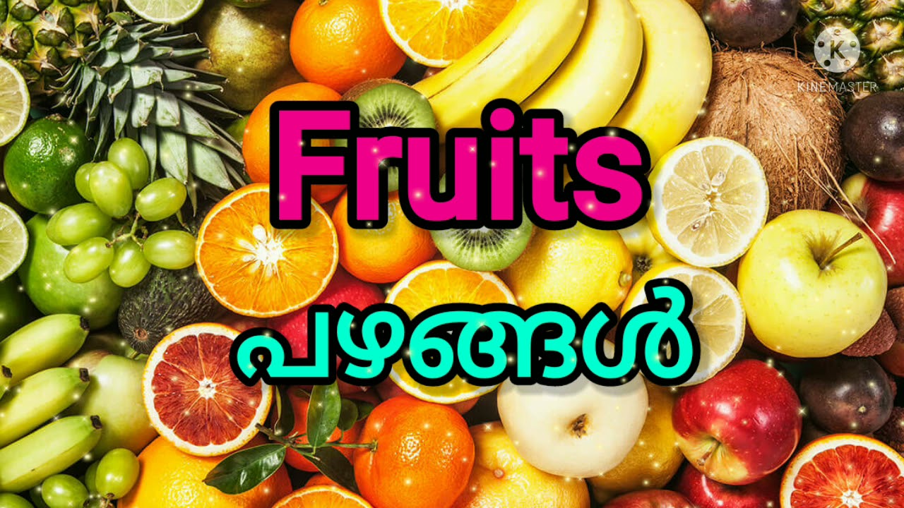 Names of Fruits in English and Malayalam (പഴങ്ങളുടെ പേര് ഇംഗ്ലീഷിലും മലയാളത്തിലും) YouTube