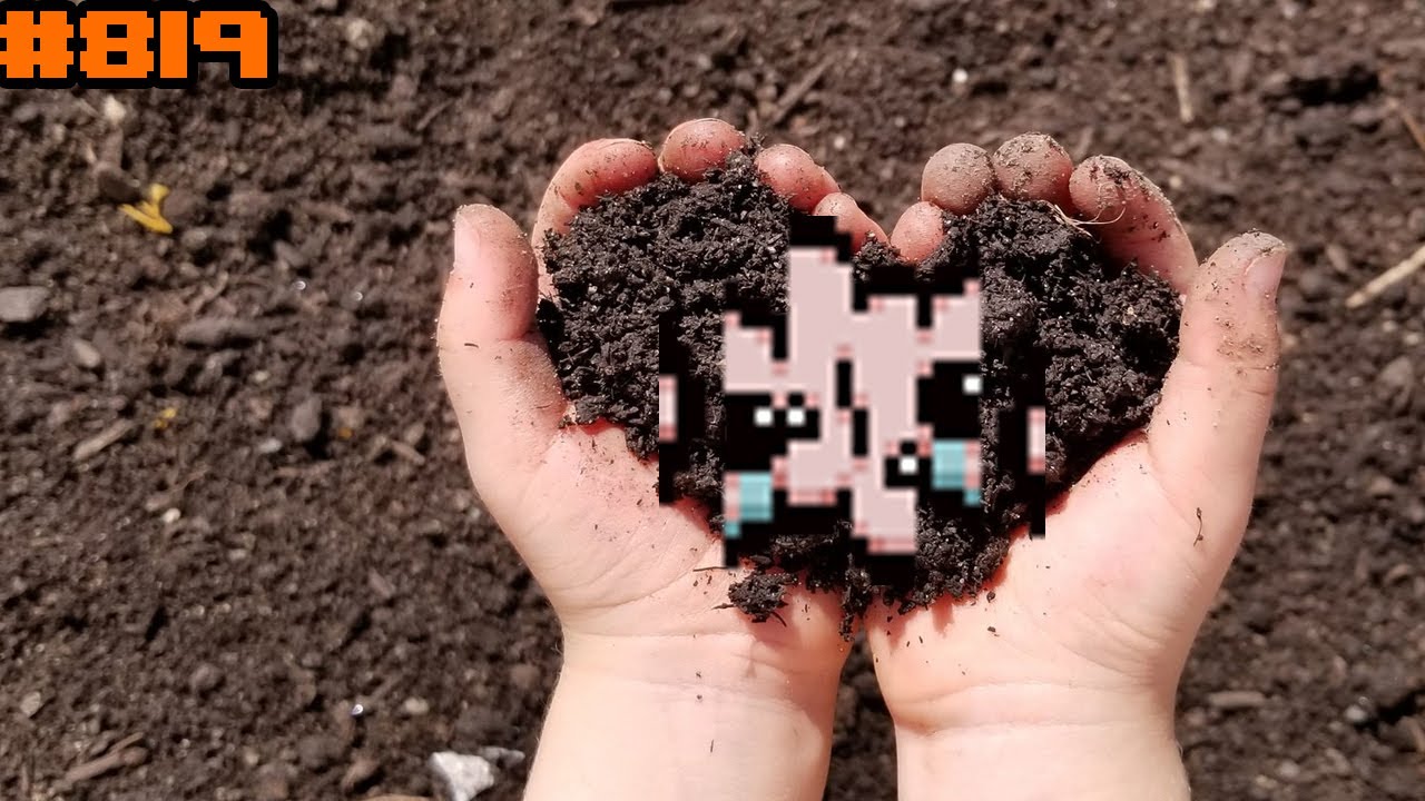 [819] Eden стрик на 4 цели | Компострэйнер | The Binding of Isaac: Repentance+