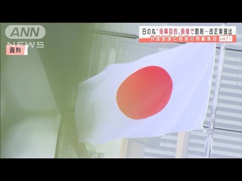 日本国旗傷つけたら刑罰 2年以下の懲役等 審議へ 21年1月26日 Youtube