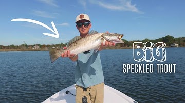 The BIG Speckled Trout are up in the RIVERS