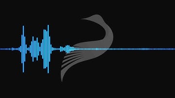 Social Security: The Current Crisis and the Libertarian Alternative (Audio Only)